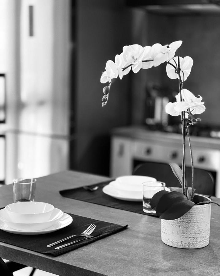 La Tana Del Ludo Apartment Бавено Екстериор снимка
